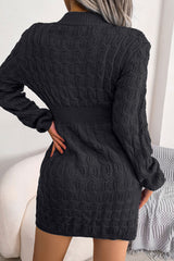 Cozy Winter Fisherman Cable Knit Bodycon Sweater Mini Dress - Black
