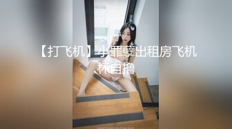 【打飞机】小罪孽出租房飞机杯自撸