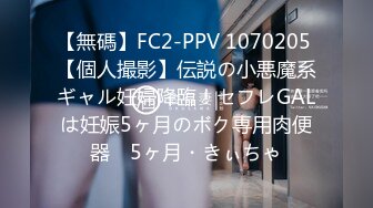 【無碼】FC2-PPV 1070205 【個人撮影】伝説の小悪魔系ギャル妊婦降臨！セフレGALは妊娠5ヶ月のボク専用肉便器　5ヶ月・きぃちゃ