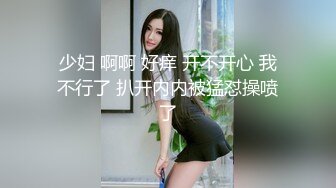 少妇 啊啊 好痒 开不开心 我不行了 扒开内内被猛怼操喷了