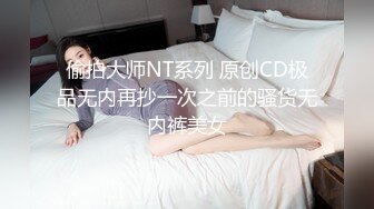 偷拍大师NT系列 原创CD极品无内再抄一次之前的骚货无内裤美女