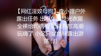 【网红淫奴母狗】查小理户外露出任务 出租车上脱光衣服 全裸给司机看 玩具自慰高潮玩嗨了 小区只穿丝袜露出游荡 (3)