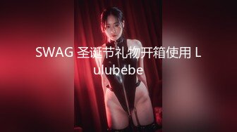 SWAG 圣诞节礼物开箱使用 Lulubebe