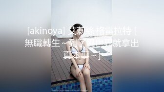 [akinoya] 艾莉絲·格雷拉特 [無職轉生～到了異世界就拿出真本事～]