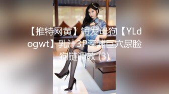 【推特网黄】短发母狗【YLdogwt】乳汁3P深渊巨穴尿脸狗链调教 (3)