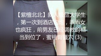 【紫檀北北】新人极品大学生，第一次到酒店约炮，乖乖女也疯狂，前男友已经调教的相当到位了，蜜桃臀骚穴 (3)