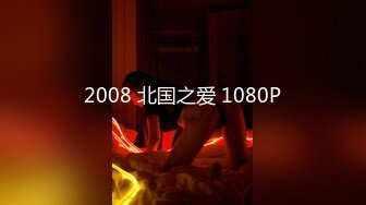 2008 北国之爱 1080P