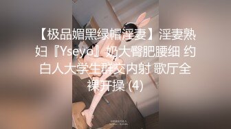 【极品媚黑绿帽淫妻】淫妻熟妇『Yseyo』奶大臀肥腰细 约白人大学生群交内射 歌厅全裸开操 (4)